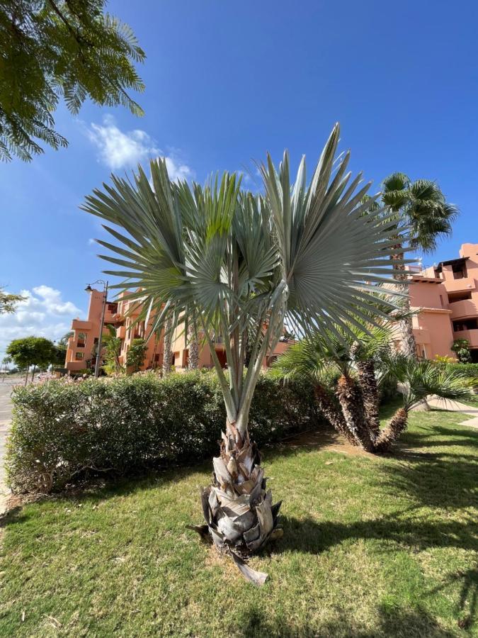 Spirit Of Mar Menor Apartman Torre-Pacheco Kültér fotó